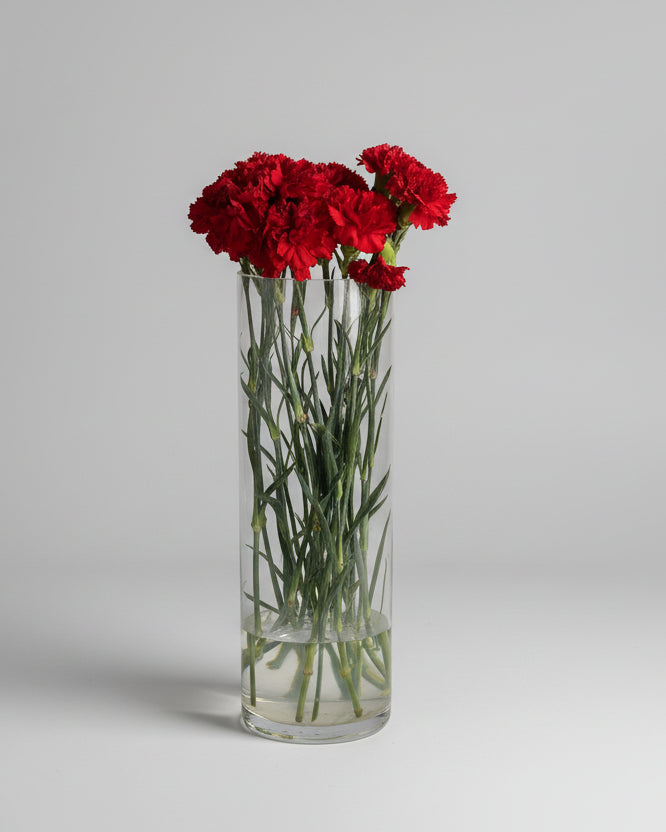 Flor Cravo