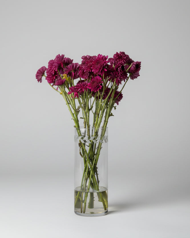 Flor Margarida