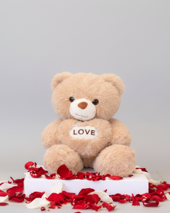 Urso Com Coração