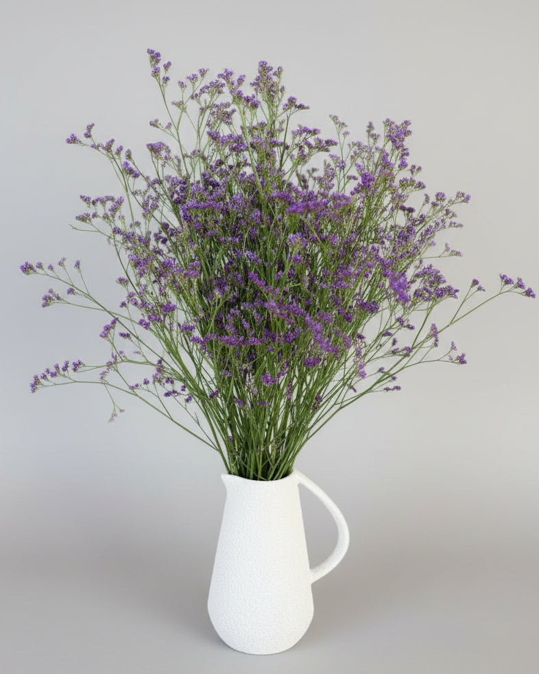 Limonium