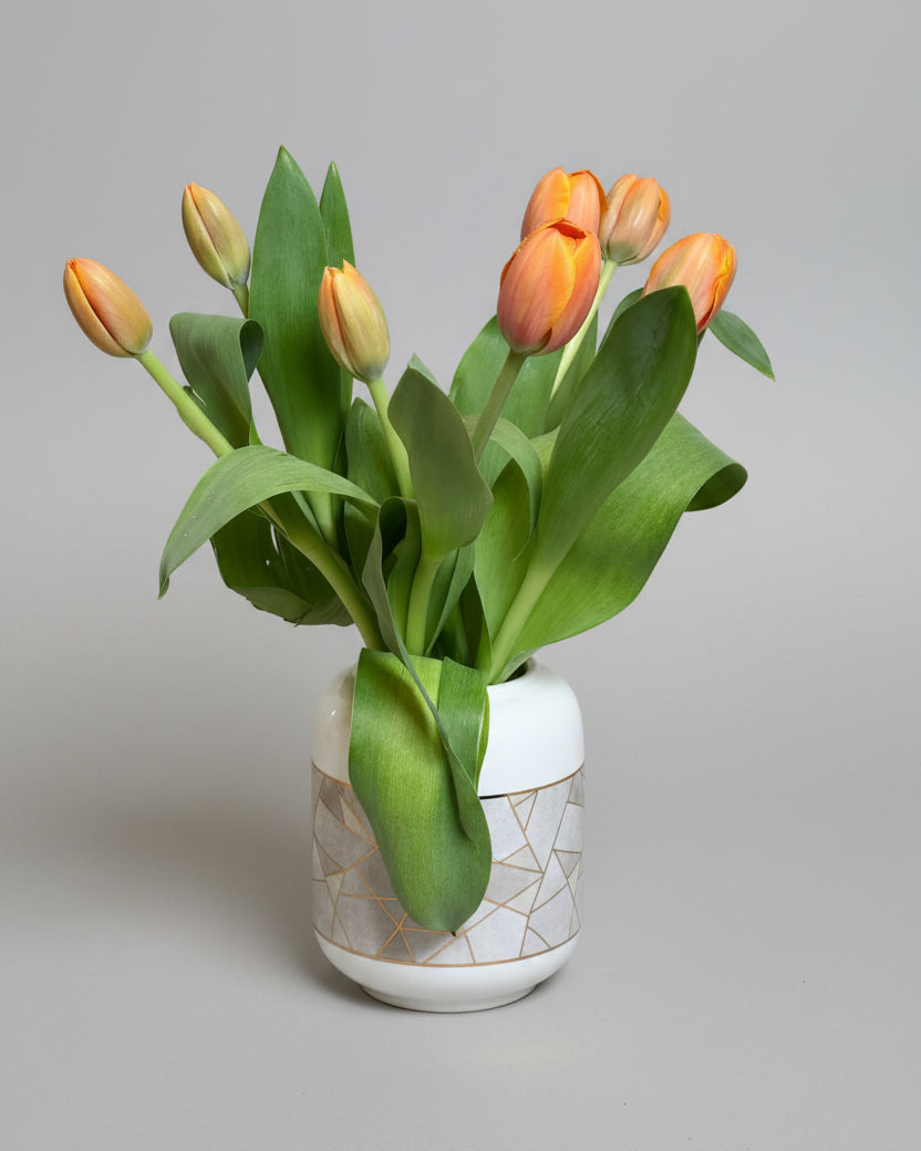 Tulipas