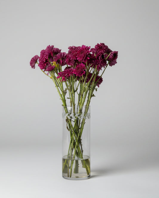 Flor Margarida